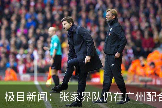 极目新闻：张家界队仍在广州配合调查，警方和多个主管部门已介入
