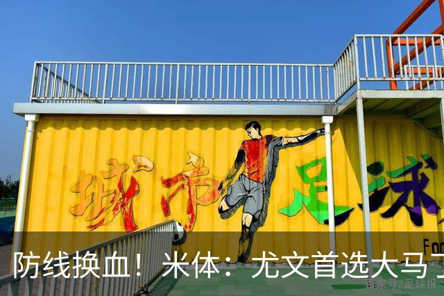 防线换血！米体：尤文首选大马丁但1000万偏贵 布雷默4000万才卖