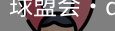 球盟会